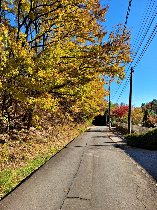 20231122_125747.jpg