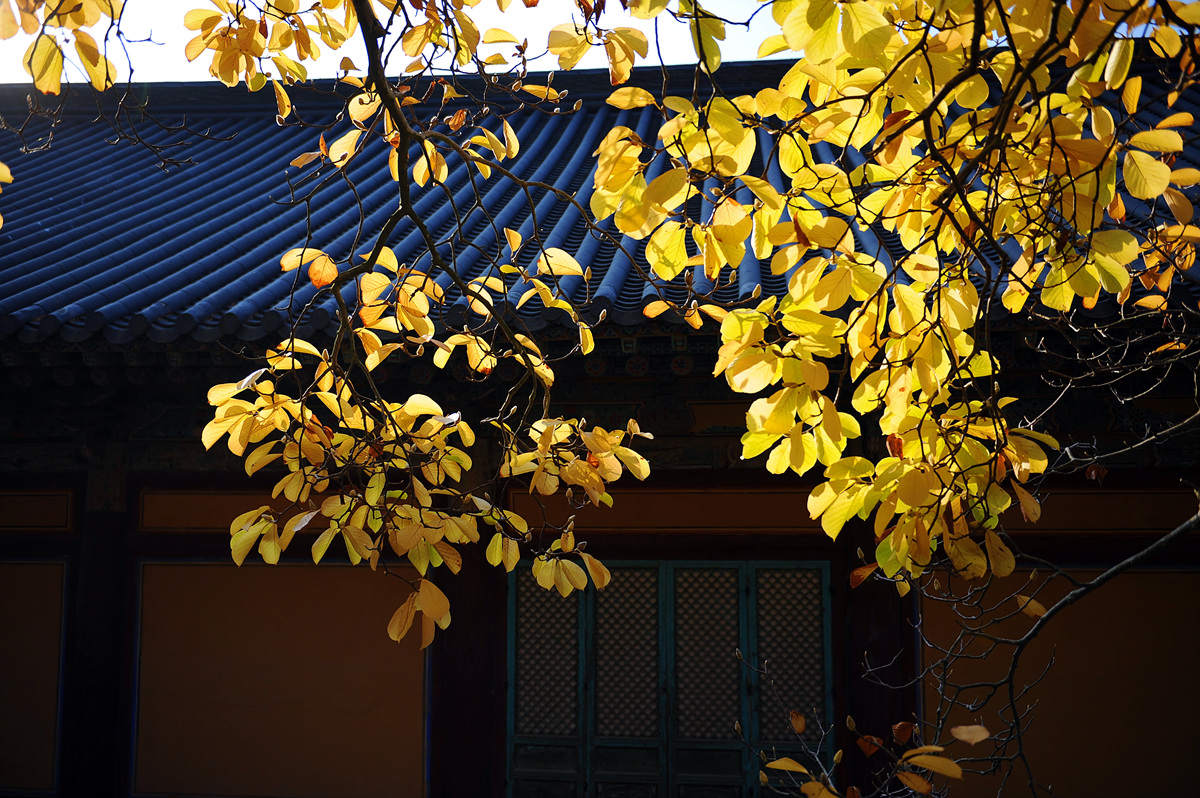 DSC_3059.jpg
